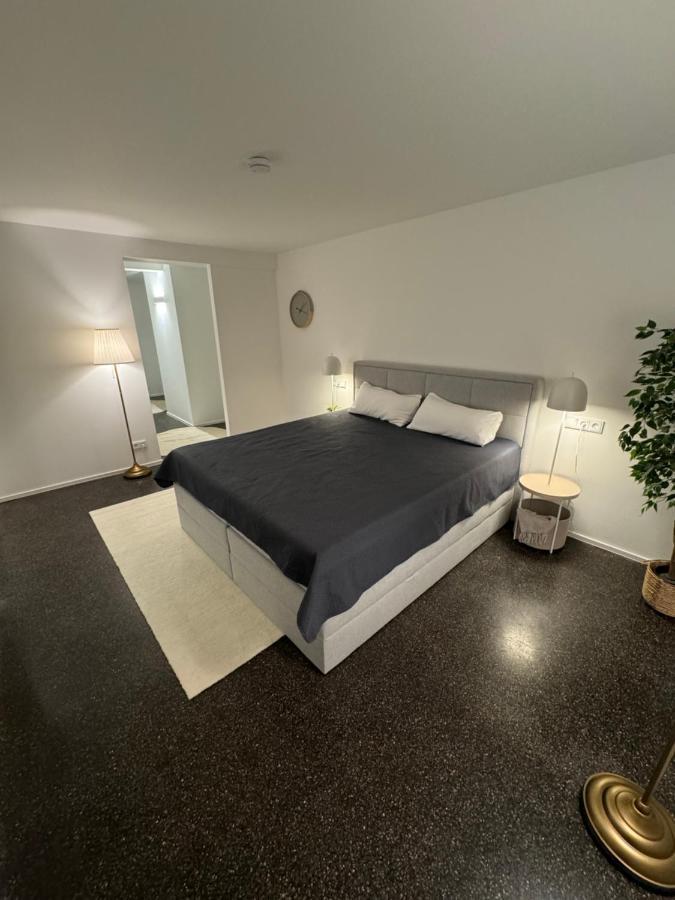 Isaak Appartment Stadtjuwel Waldshut-Tiengen Luaran gambar