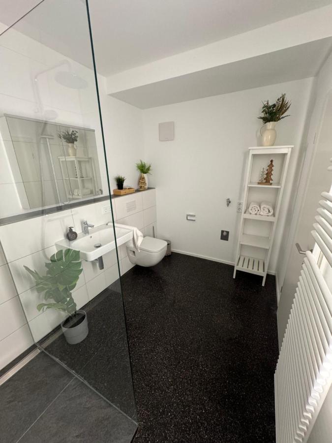 Isaak Appartment Stadtjuwel Waldshut-Tiengen Luaran gambar
