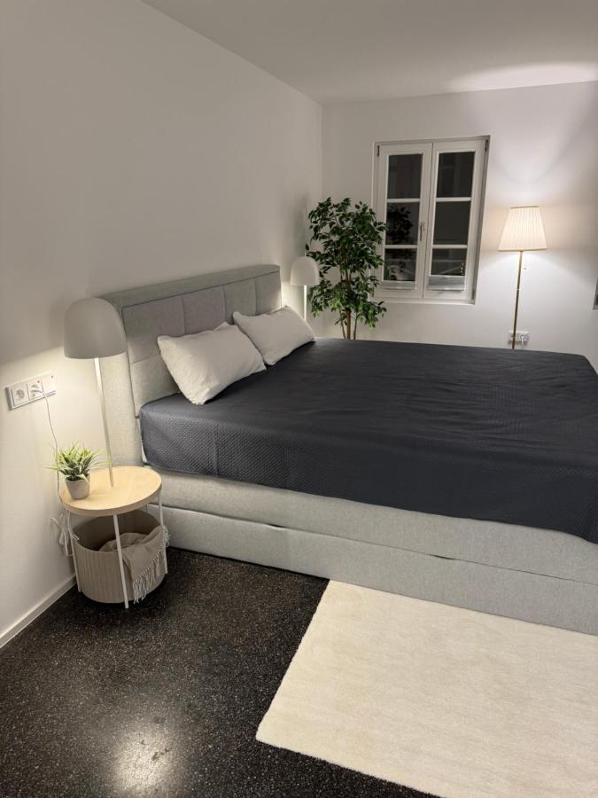 Isaak Appartment Stadtjuwel Waldshut-Tiengen Luaran gambar