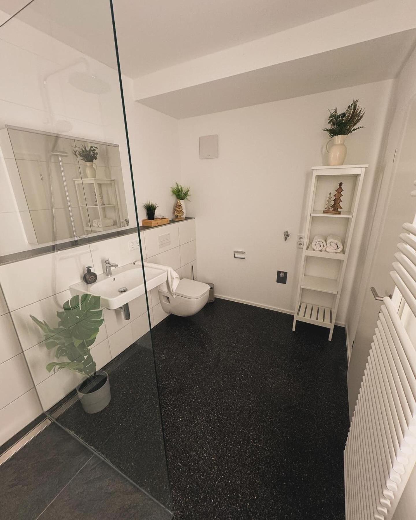 Isaak Appartment Stadtjuwel Waldshut-Tiengen Luaran gambar